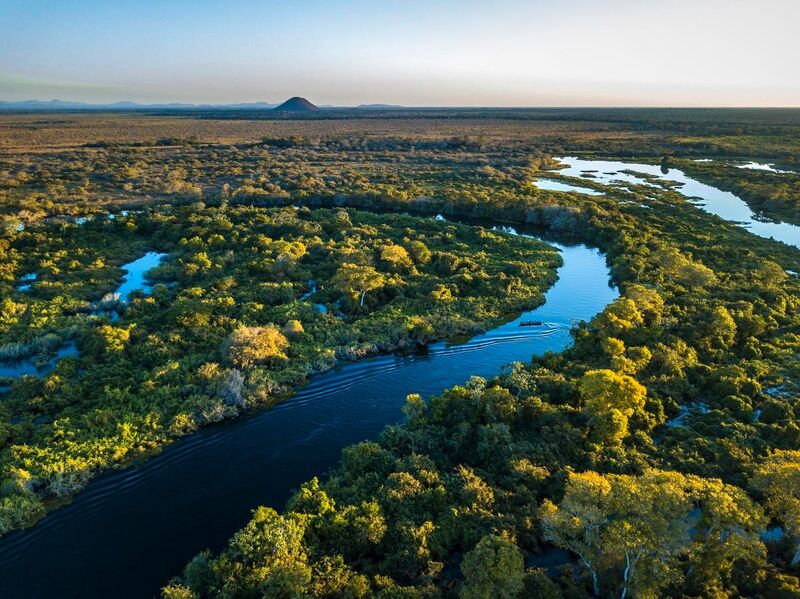 The Growing Importance of Biodiversity Metrics (TNFD) in ESG Strategy and Reporting Tech